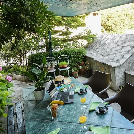 Zore 公寓 克瓦维卡